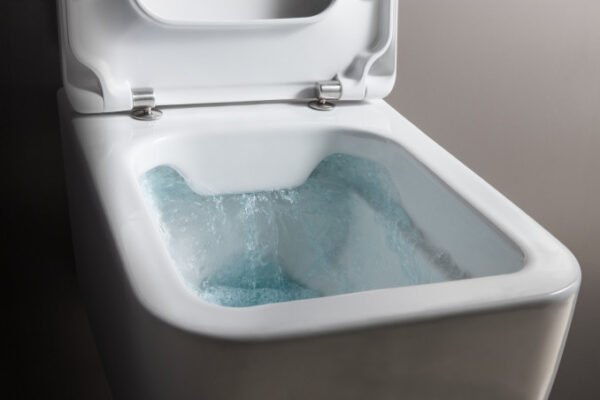 WC šolja konzolna LAUFEN PRO S rimless I - Image 3