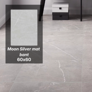 Pločica 60x60 Moon Silver mat bant 1139