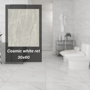 Pločica 30x60 Cosmic white ret 1202