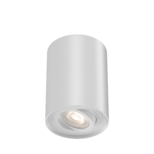 Led spot nadgradna okrugla bijela Gama Braytron