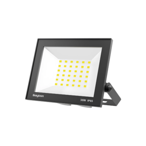 LED reflektor 30 W crni 6500 K IP65 Braytron BT66-03031